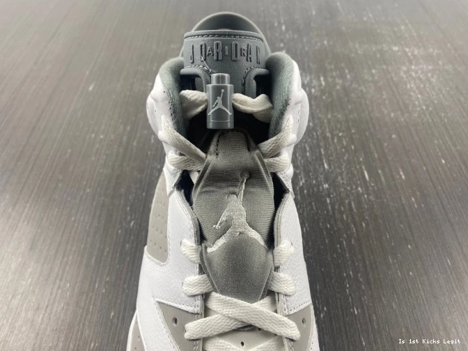 Jordan 6 Grey CT8529-100 Air Cool 0721